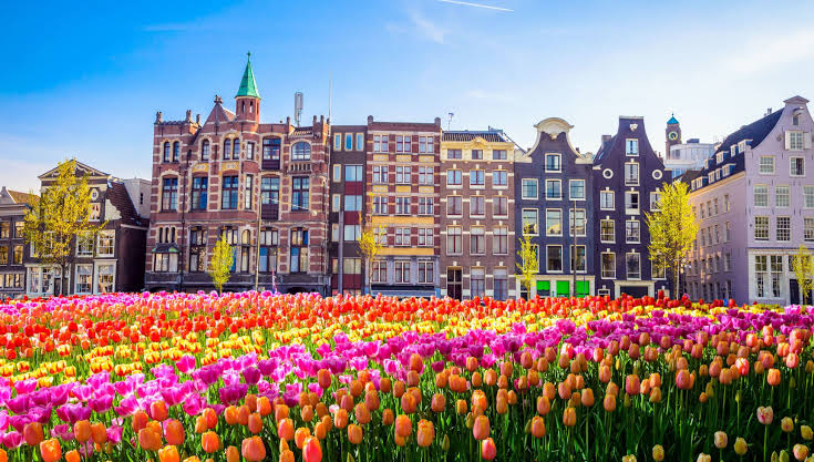 5 Escapadas de Fin de Semana desde Ámsterdam: Molinos, Canales y Ciudades de Cuento (2026)